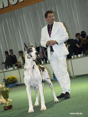 Прикачена снимка