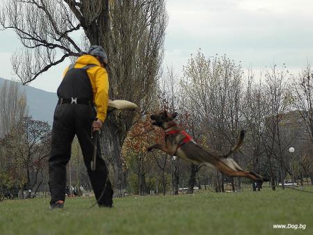 Прикачена снимка