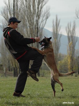 Прикачена снимка