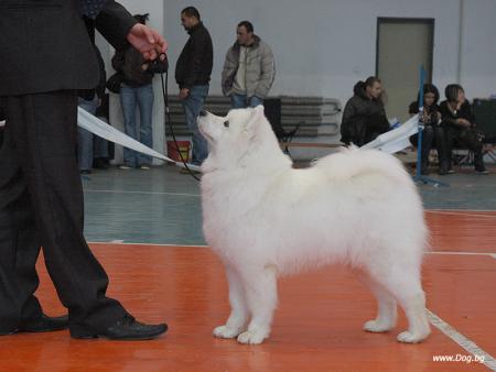 Прикачена снимка