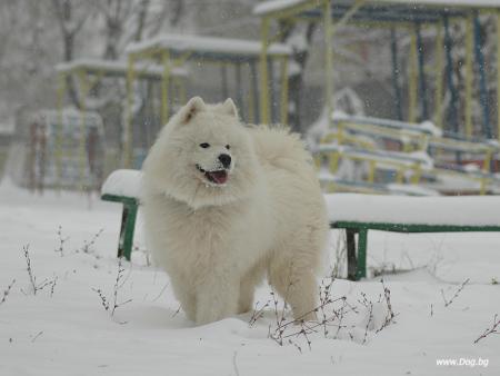 Прикачена снимка