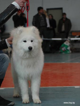Прикачена снимка