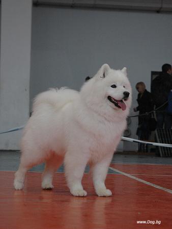 Прикачена снимка