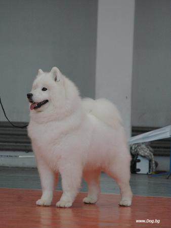 Прикачена снимка