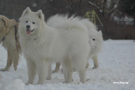 Прикачена снимка