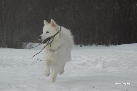 Прикачена снимка