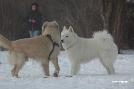 Прикачена снимка