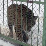 Прикачена снимка