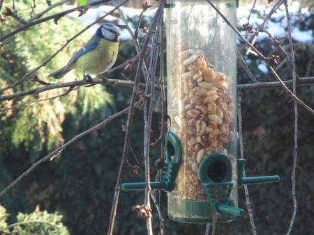 Прикачена снимка