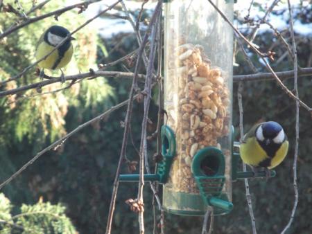 Прикачена снимка