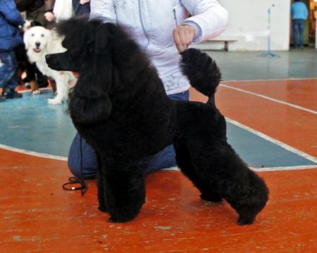 Прикачена снимка