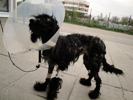 Прикачена снимка