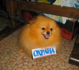 Прикачена снимка