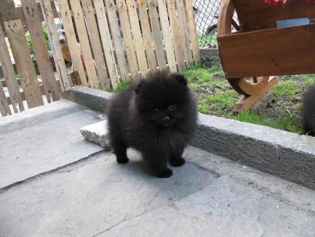 Прикачена снимка