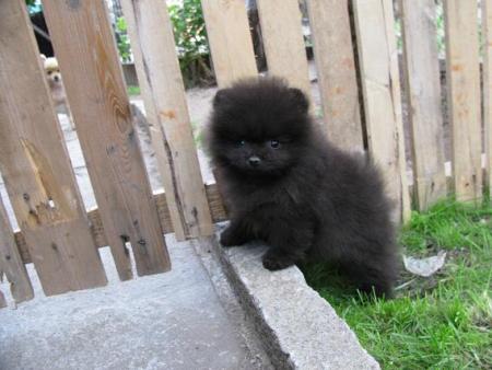 Прикачена снимка