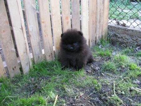Прикачена снимка
