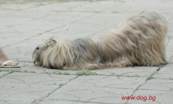 Прикачена снимка