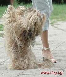 Прикачена снимка