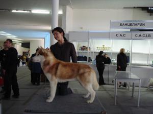 Прикачена снимка