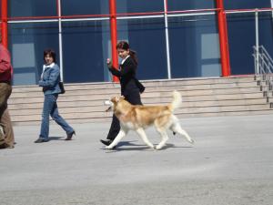 Прикачена снимка