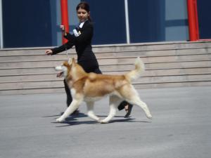 Прикачена снимка