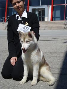 Прикачена снимка