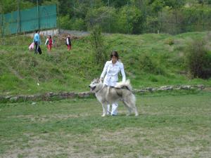 Прикачена снимка