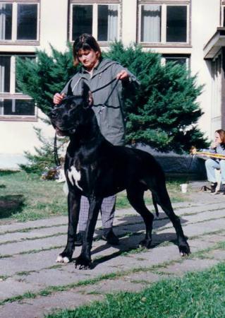 Прикачена снимка