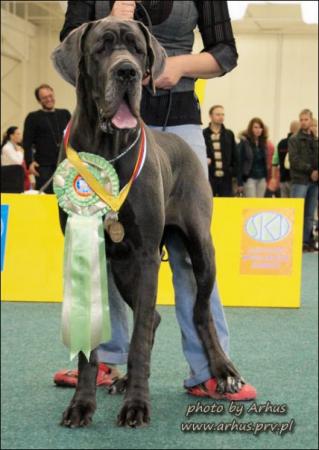 Прикачена снимка