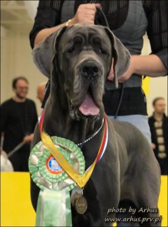 Прикачена снимка