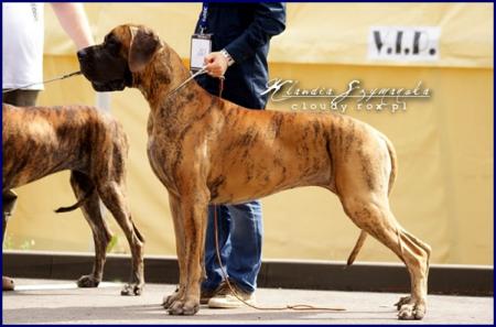 Прикачена снимка