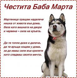 Прикачена снимка