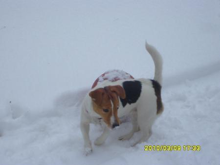 Прикачена снимка