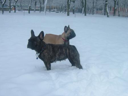 Прикачена снимка
