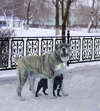 Прикачена снимка