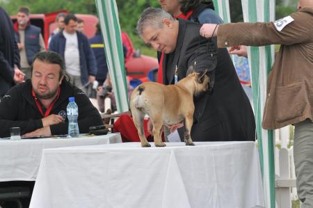 Прикачена снимка