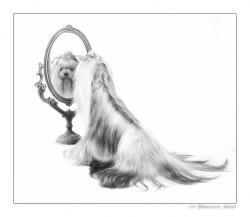 Прикачена снимка