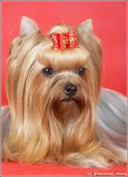 Прикачена снимка