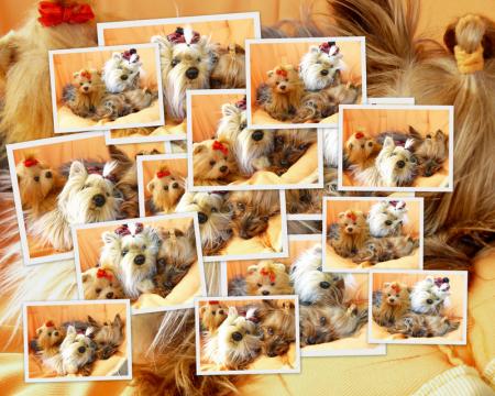 Прикачена снимка