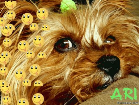 Прикачена снимка