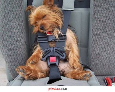 Прикачена снимка