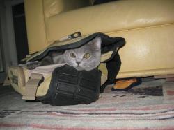 Прикачена снимка