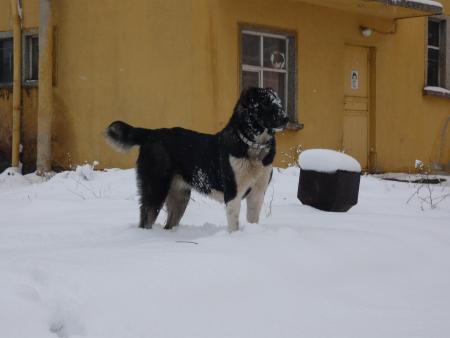 Прикачена снимка