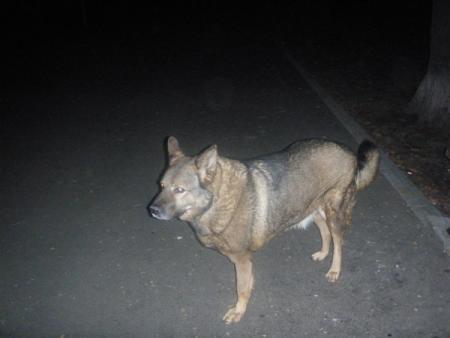 Прикачена снимка