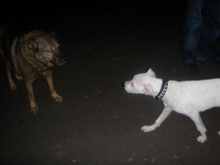 Прикачена снимка