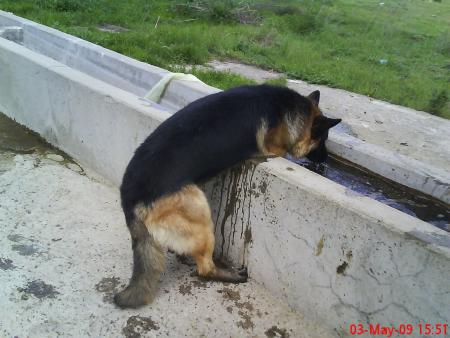 Прикачена снимка