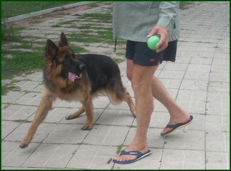 Прикачена снимка