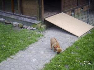 Прикачена снимка