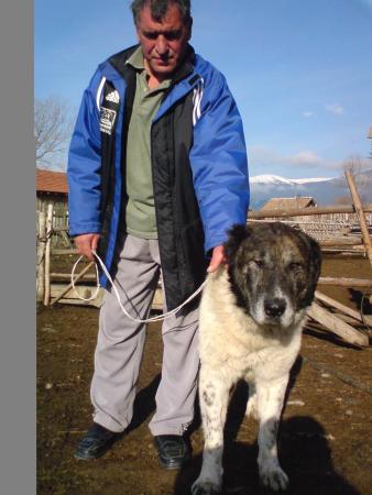 Прикачена снимка