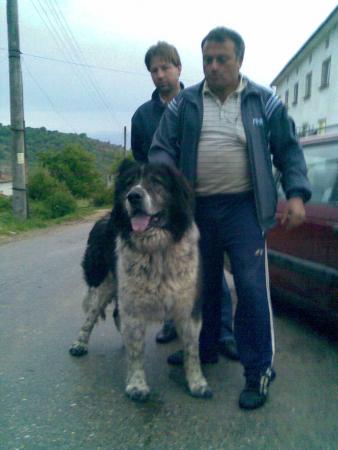 Прикачена снимка